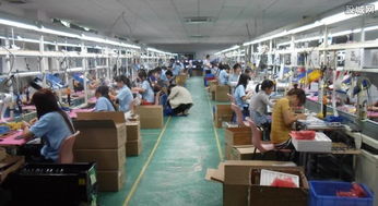 農(nóng)村創(chuàng)業(yè)新路徑 農(nóng)副產(chǎn)品開發(fā)與技術(shù)服務(wù)的雙輪驅(qū)動(dòng)